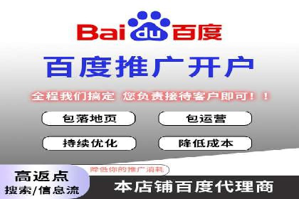 百度推广实战：成功案例解析